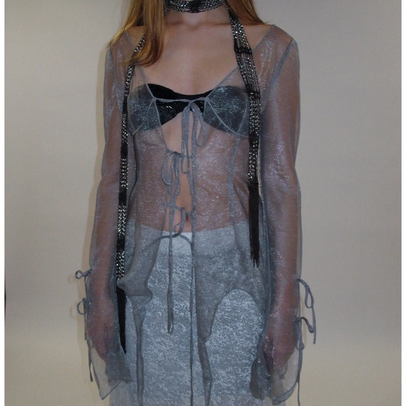 prod sheer organza top - Picture 1 of 6
